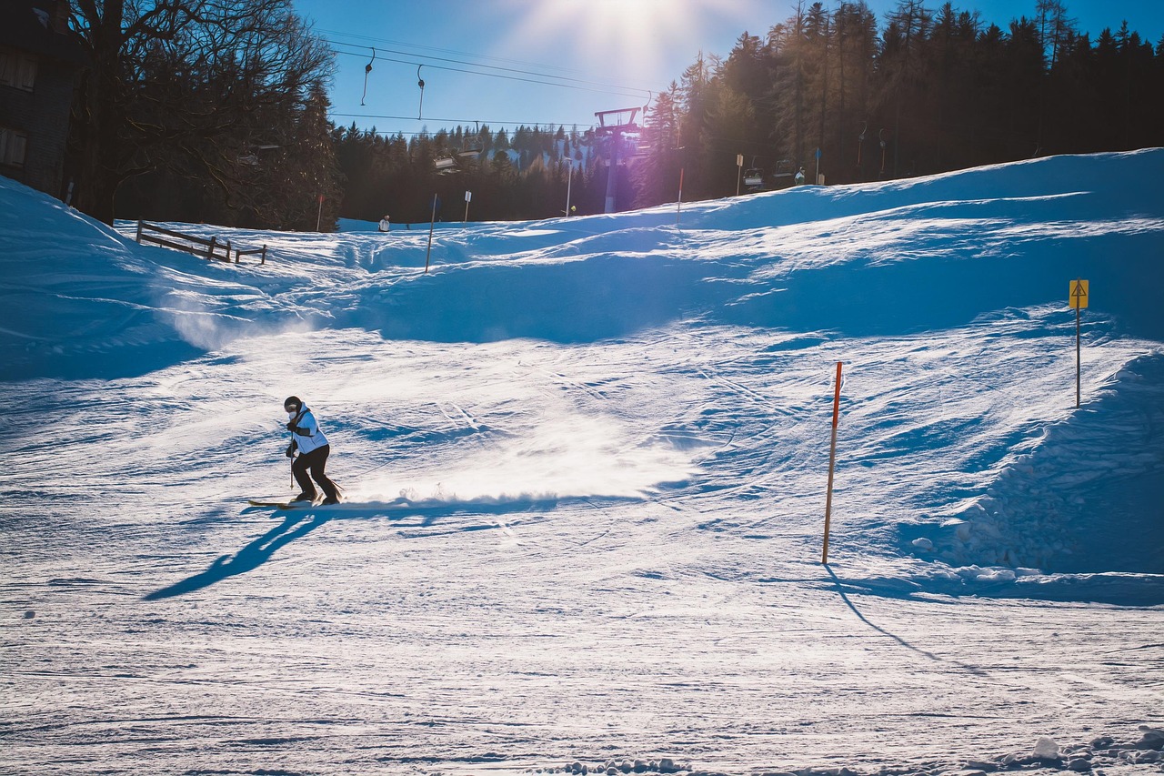 Ski alpin Ski alpin